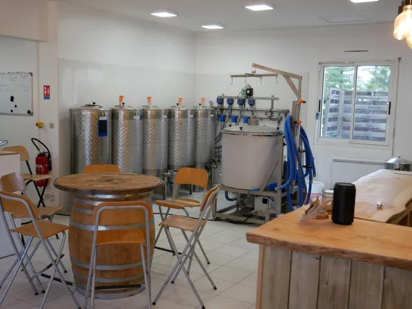 Rassemblez votre équipe et dégustez des bières dans une microbrasserie avec Matthieu - Afbeelding nr. 5 - Wecandoo