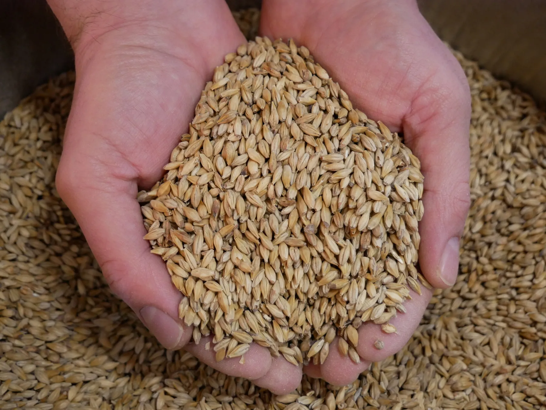 Rassemblez votre équipe et dégustez des bières dans une microbrasserie avec Matthieu - Image n°3 - Wecandoo