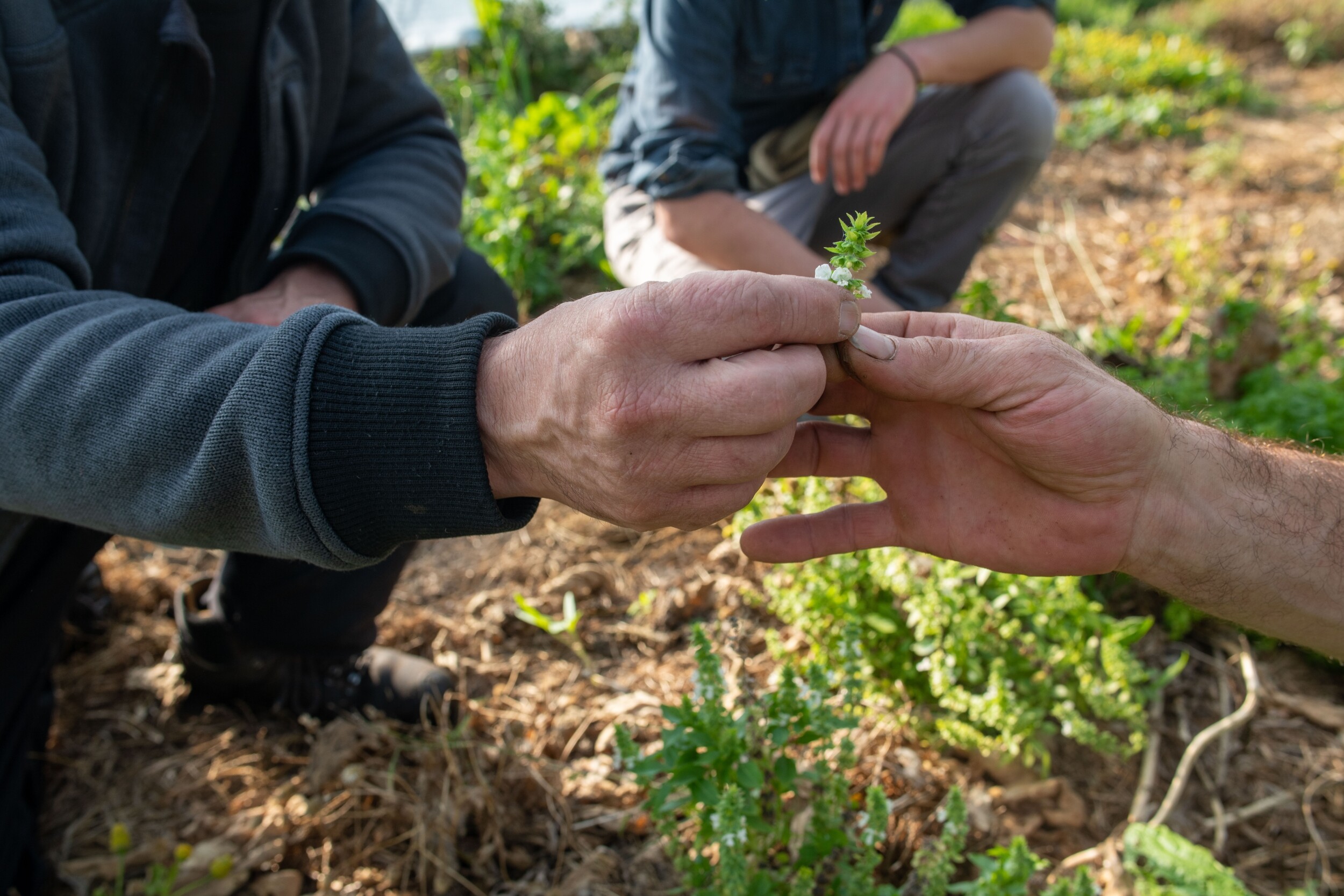 Wecandoo - Inspirez votre équipe et initiez-vous à la permaculture avec Fabien - Image n°1