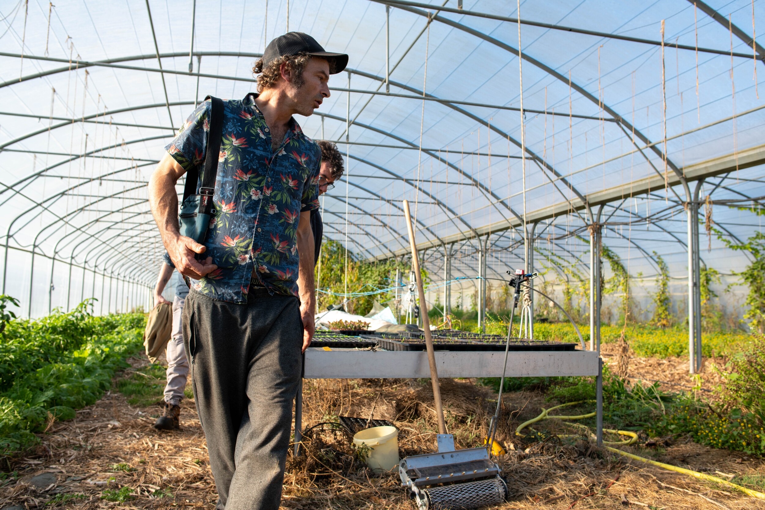 Wecandoo - Inspirez votre équipe et initiez-vous à la permaculture avec Fabien - Image n°4