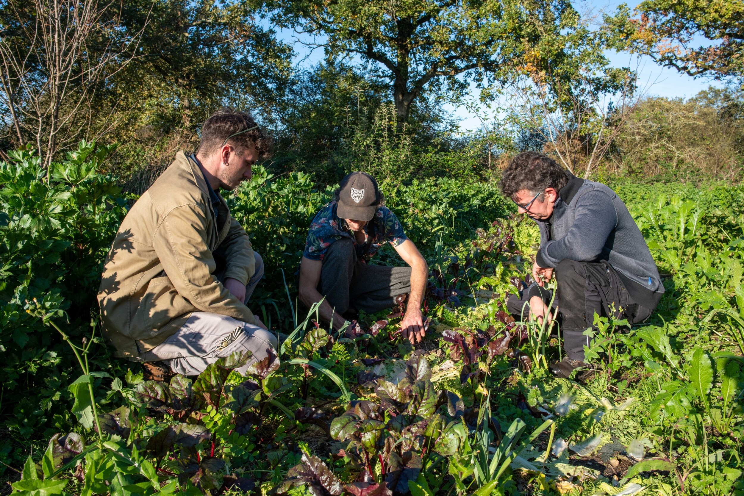 Wecandoo - Inspirez votre équipe et initiez-vous à la permaculture avec Fabien - Image n°2