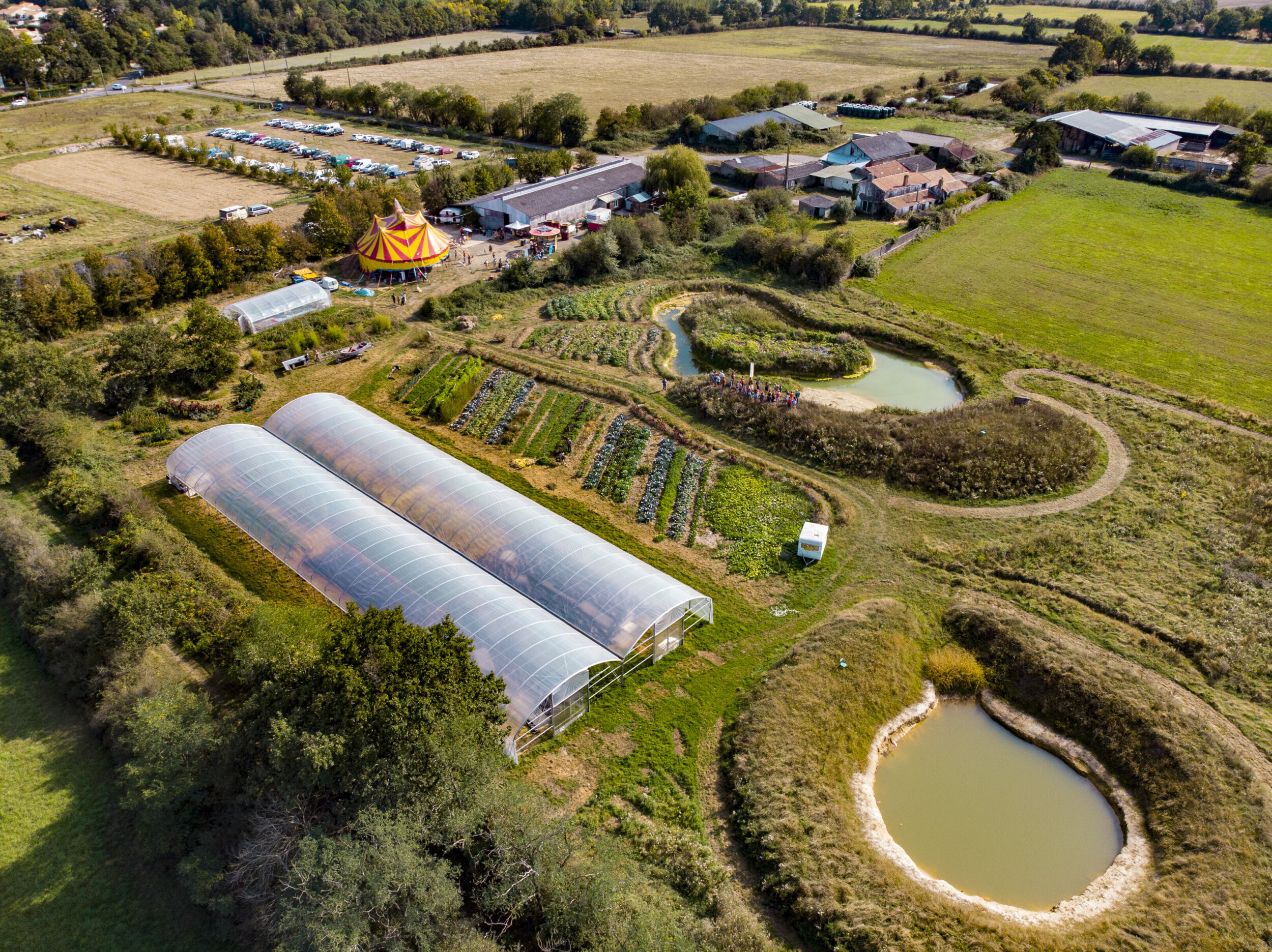 Wecandoo - Inspirez votre équipe et initiez-vous à la permaculture avec Fabien - Image n°10