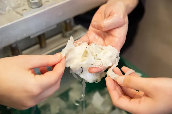 Réalisez votre papier à partir de fibres naturelles avec Elizabeth - Image n°2 - Wecandoo