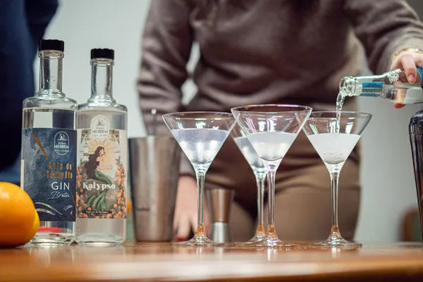 Wecandoo - Visitez une distillerie et dégustez du gin