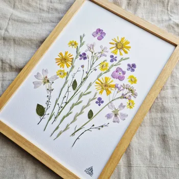 Pressez des fleurs et réalisez votre herbier encadré