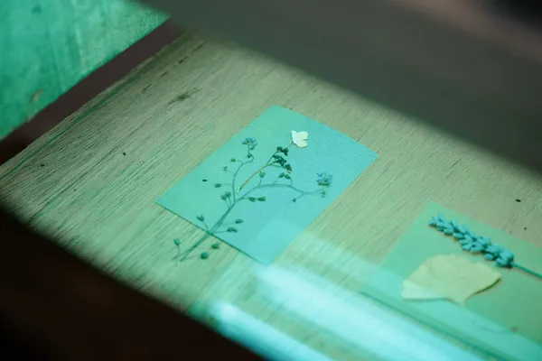 Fabriquez votre carnet personnalisé avec Caroline - Image n°4 - Wecandoo