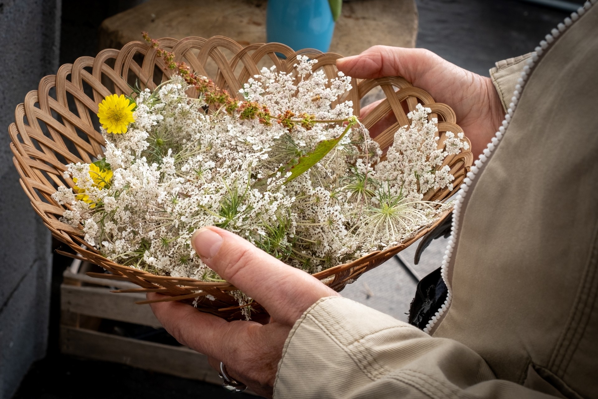 Wecandoo - Découvrez une pépinière et réalisez votre baume de plantes médicinales sur une journée avec Allison - Image n°5