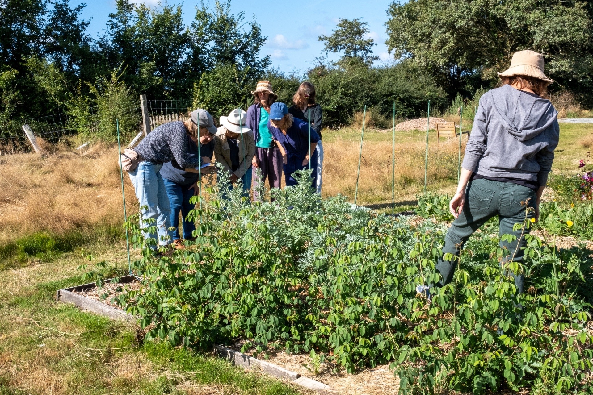 Wecandoo - Découvrez une pépinière et réalisez votre baume de plantes médicinales sur une journée avec Allison - Image n°9