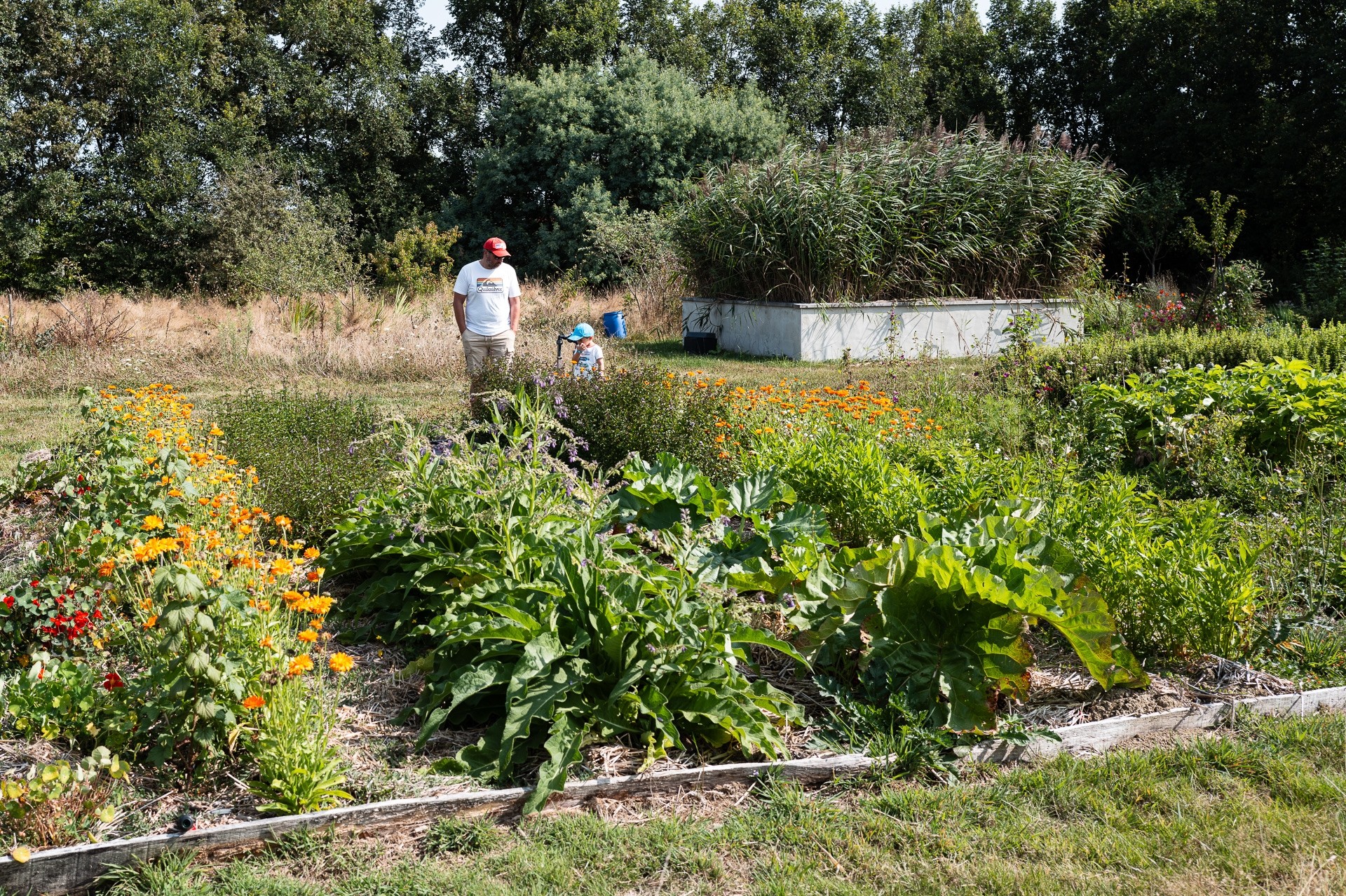 Wecandoo - Découvrez une pépinière et réalisez votre baume de plantes médicinales sur une journée avec Allison - Image n°10