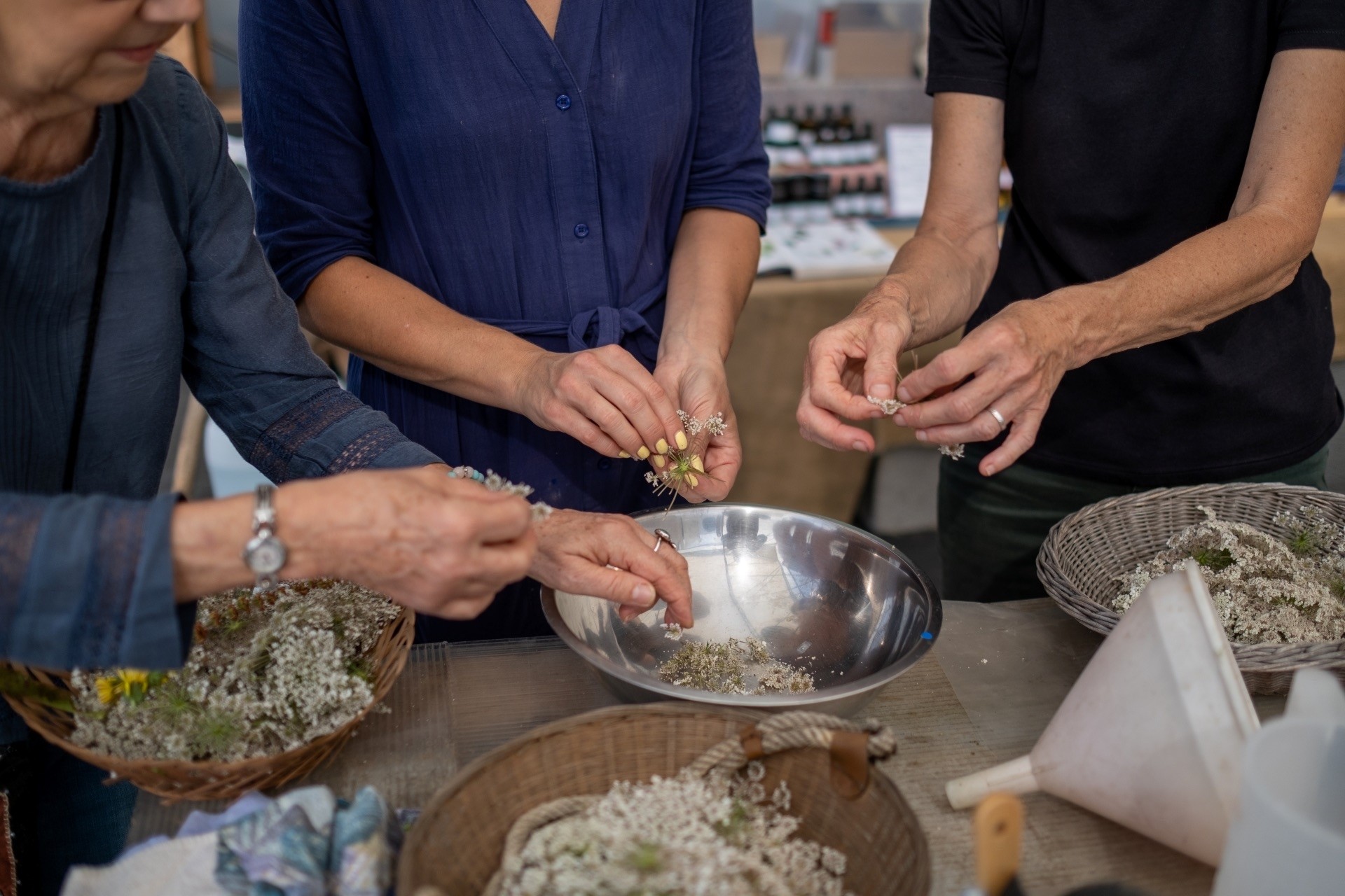 Créez votre baume de plantes médicinales sur un jour