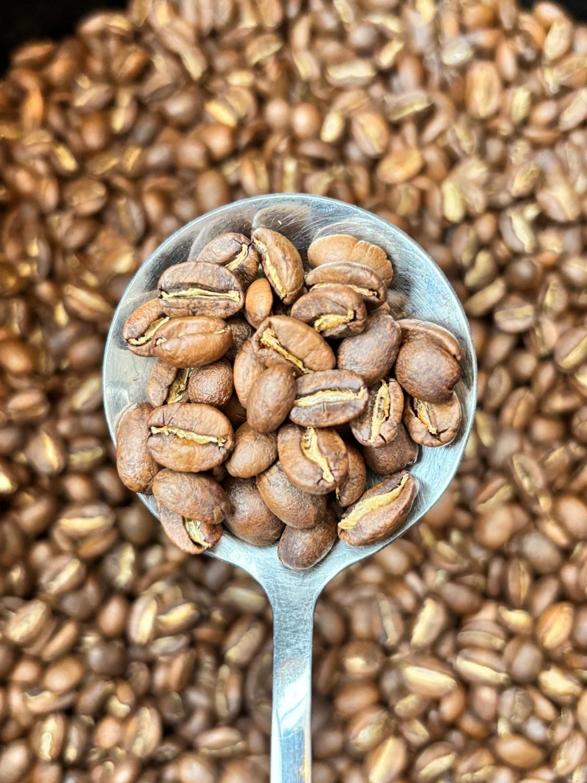 Dégustez des cafés de spécialité