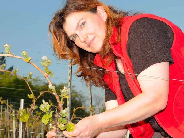Muriel : Vigneronne à Colmar