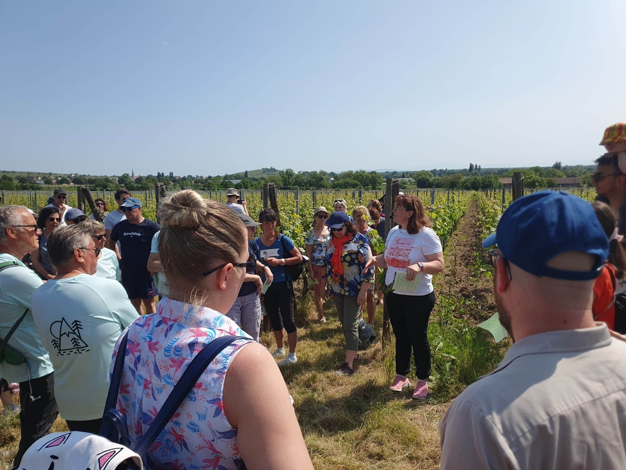 Wecandoo - Visitez des vignes et dégustez des vins bio avec Muriel - Afbeelding nr. 3