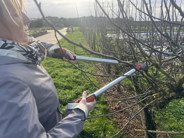 Initiez-vous à l'entretien des arbres fruitiers avec Mathieu, Léna et leur équipe - Image n°5 - Wecandoo