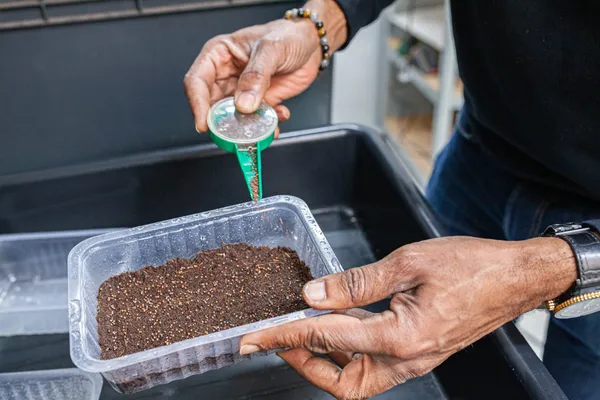 Initiez-vous à la culture de micropousses avec Jean-Luc - Image n°2 - Wecandoo