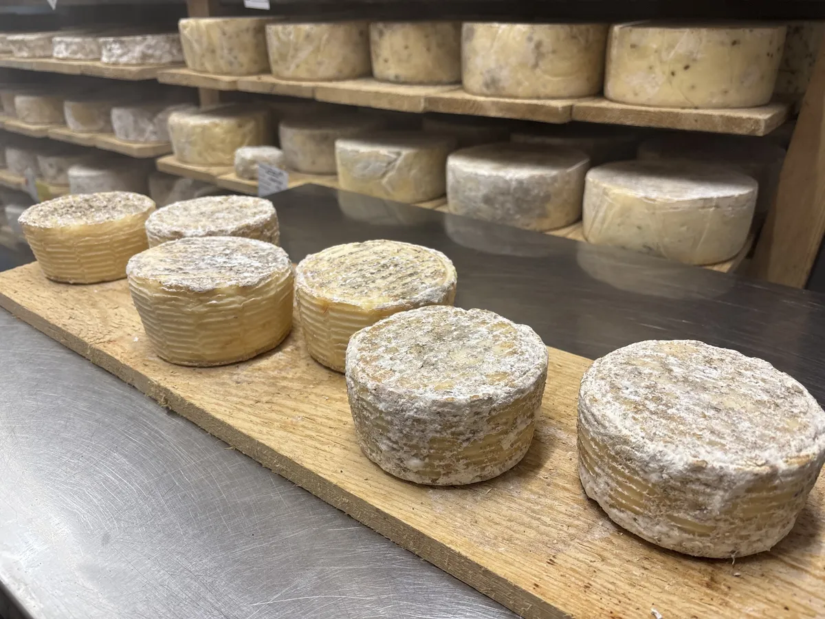 Réalisez votre tomme de fromage