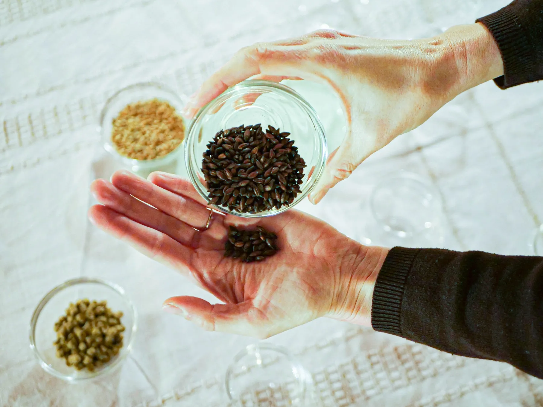 Découvrez le monde de la bière artisanale avec Nicolas - Afbeelding nr. 3 - Wecandoo