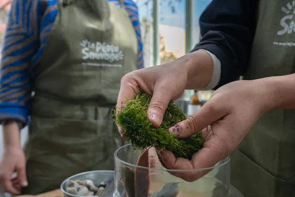 Réalisez votre kokédama avec Pauline - Image n°4 - Wecandoo