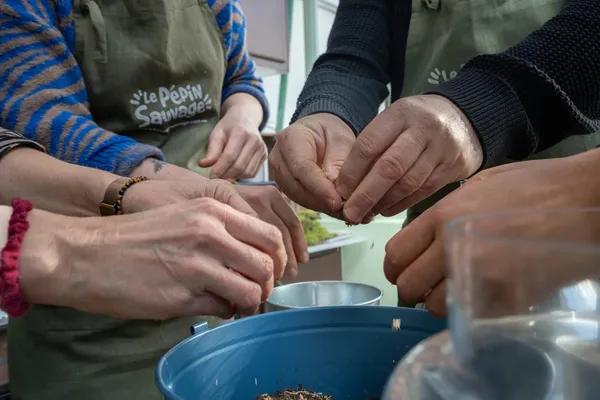 Réalisez votre terrarium avec Pauline - Afbeelding nr. 2 - Wecandoo