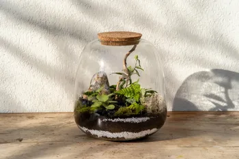 Réalisez votre terrarium