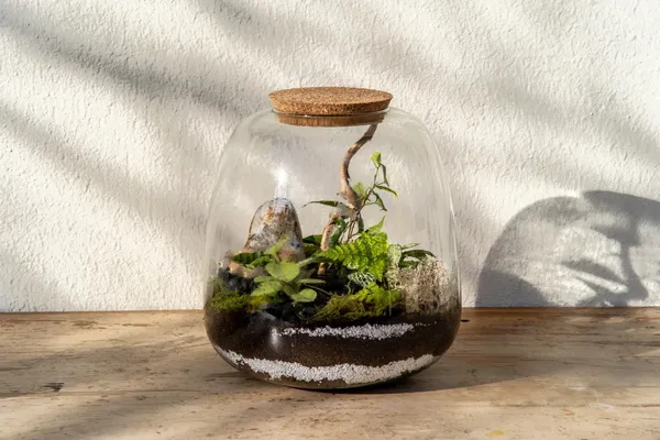 Wecandoo - Réalisez votre terrarium