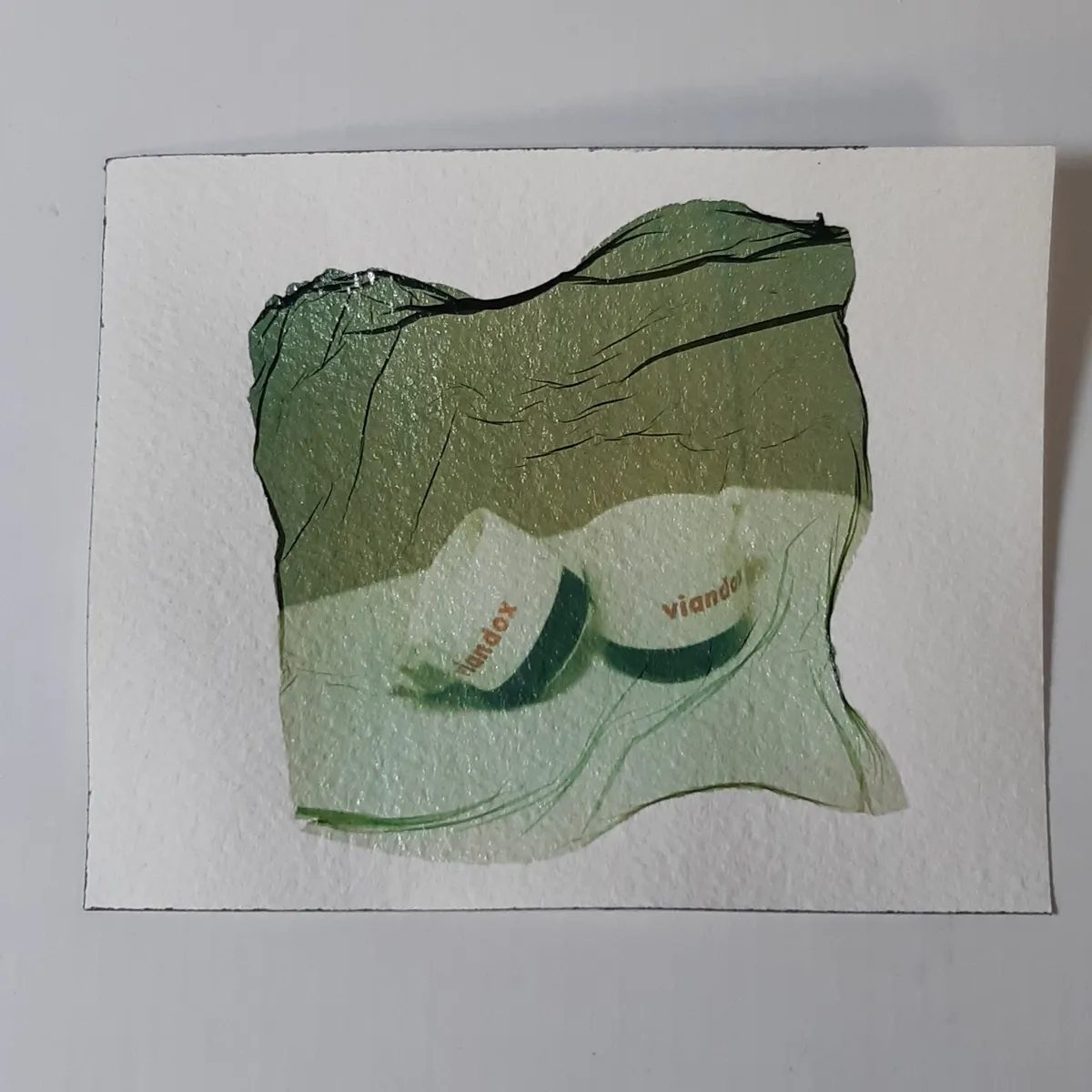 Découvrez le transfert de Polaroid couleur