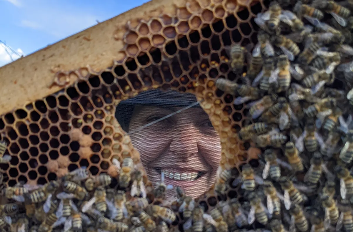 Apprivoisez les plantes et les abeilles