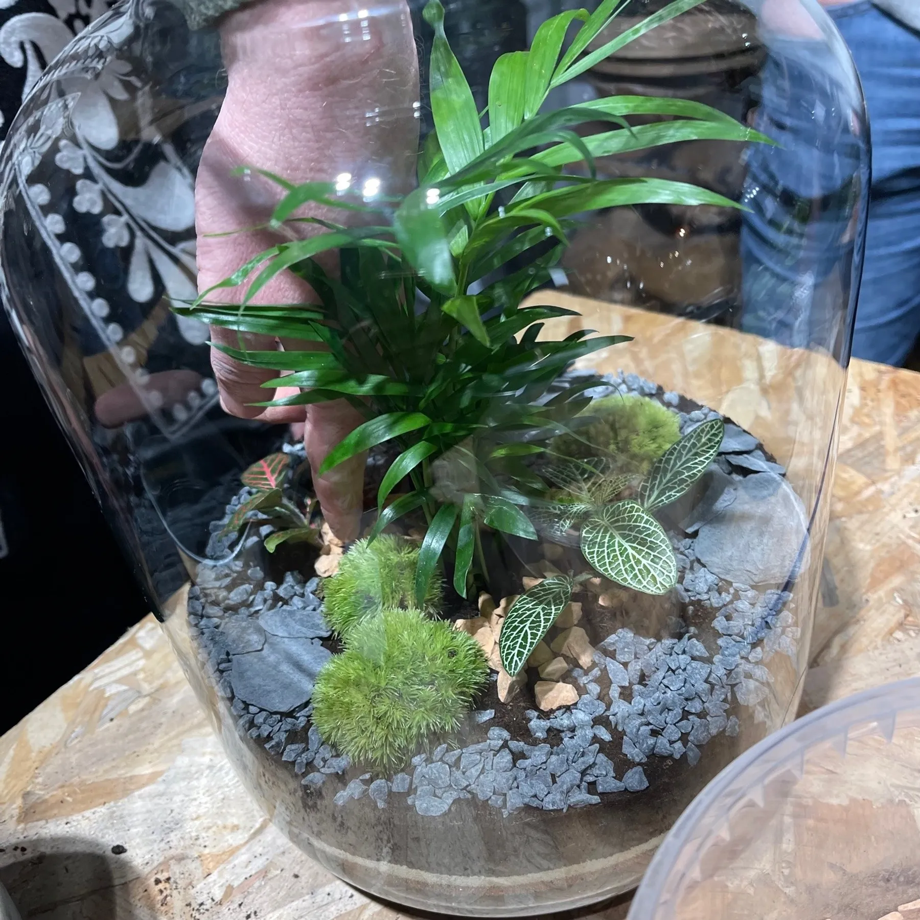 Créez votre capsule végétale XXL à deux - Image n°4 - Wecandoo