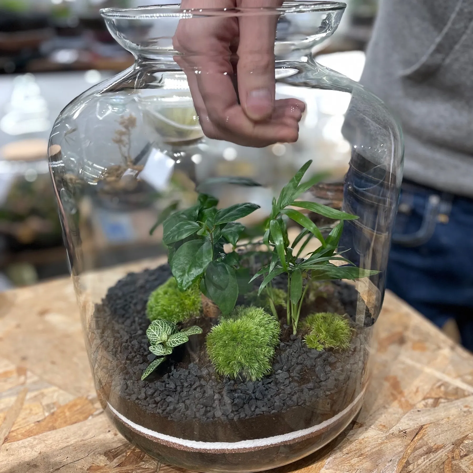 Créez votre capsule végétale XXL à deux - Image n°3 - Wecandoo