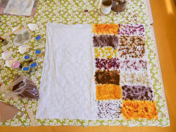 Réalisez votre paire de housses de coussin en écoprint avec Mélissa - Image n°1 - Wecandoo