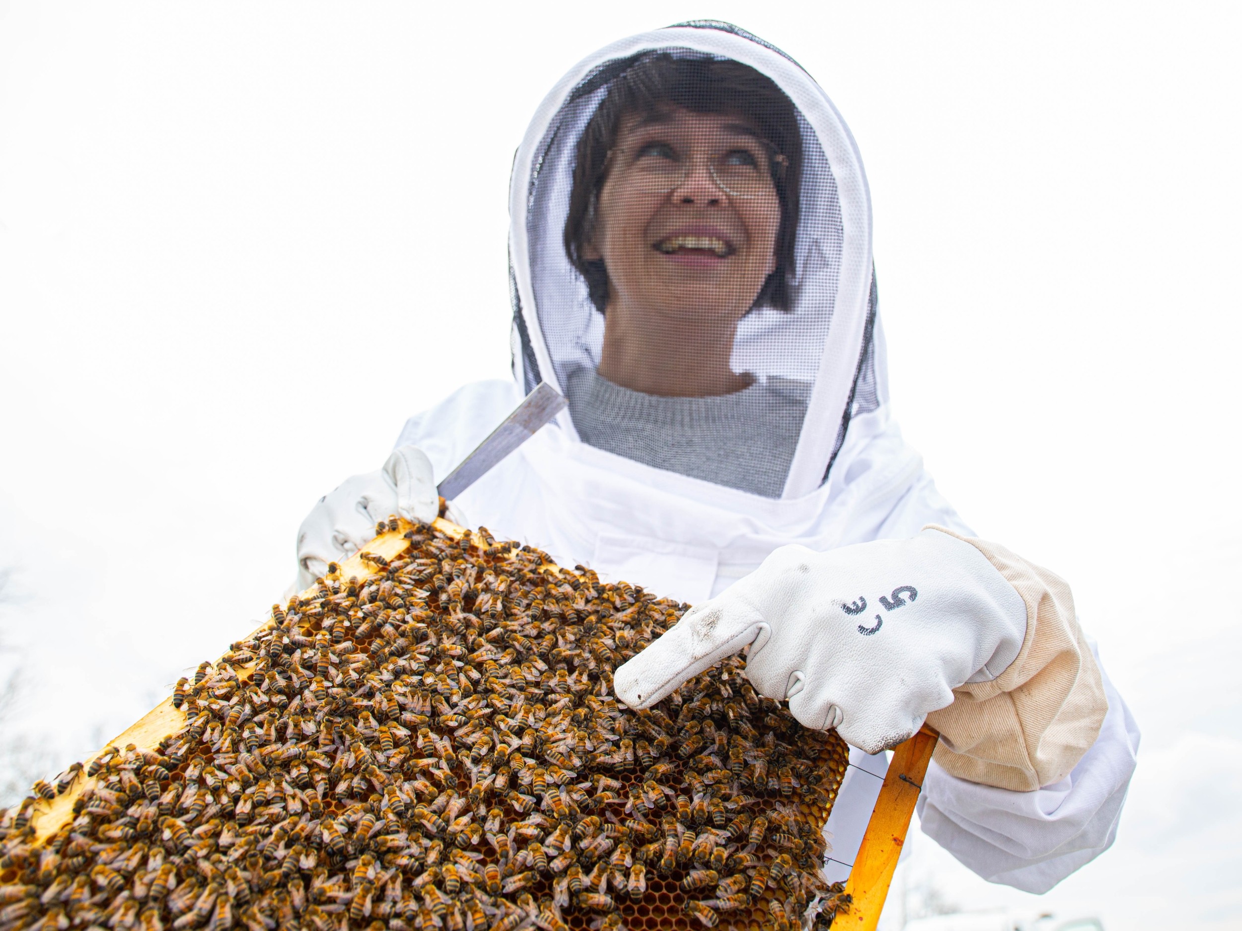 Wecandoo - Initiez-vous à l'apiculture avec Anne-Sophie - Image n°9