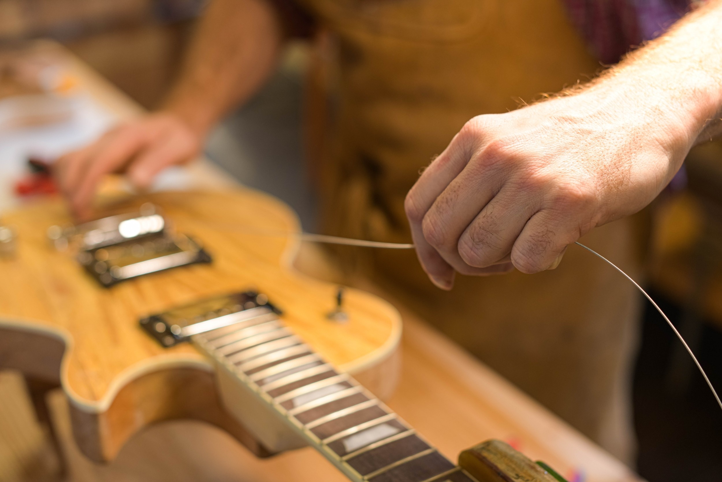 Wecandoo - Apprenez à entretenir et régler votre instrument à corde avec Joachim - Image n°4