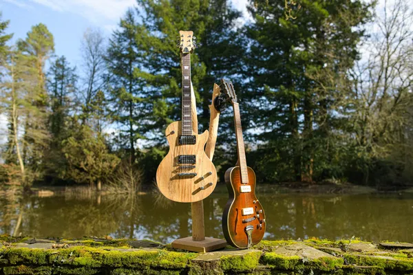 Apprenez à entretenir et régler votre instrument à corde avec Joachim - Image n°2 - Wecandoo