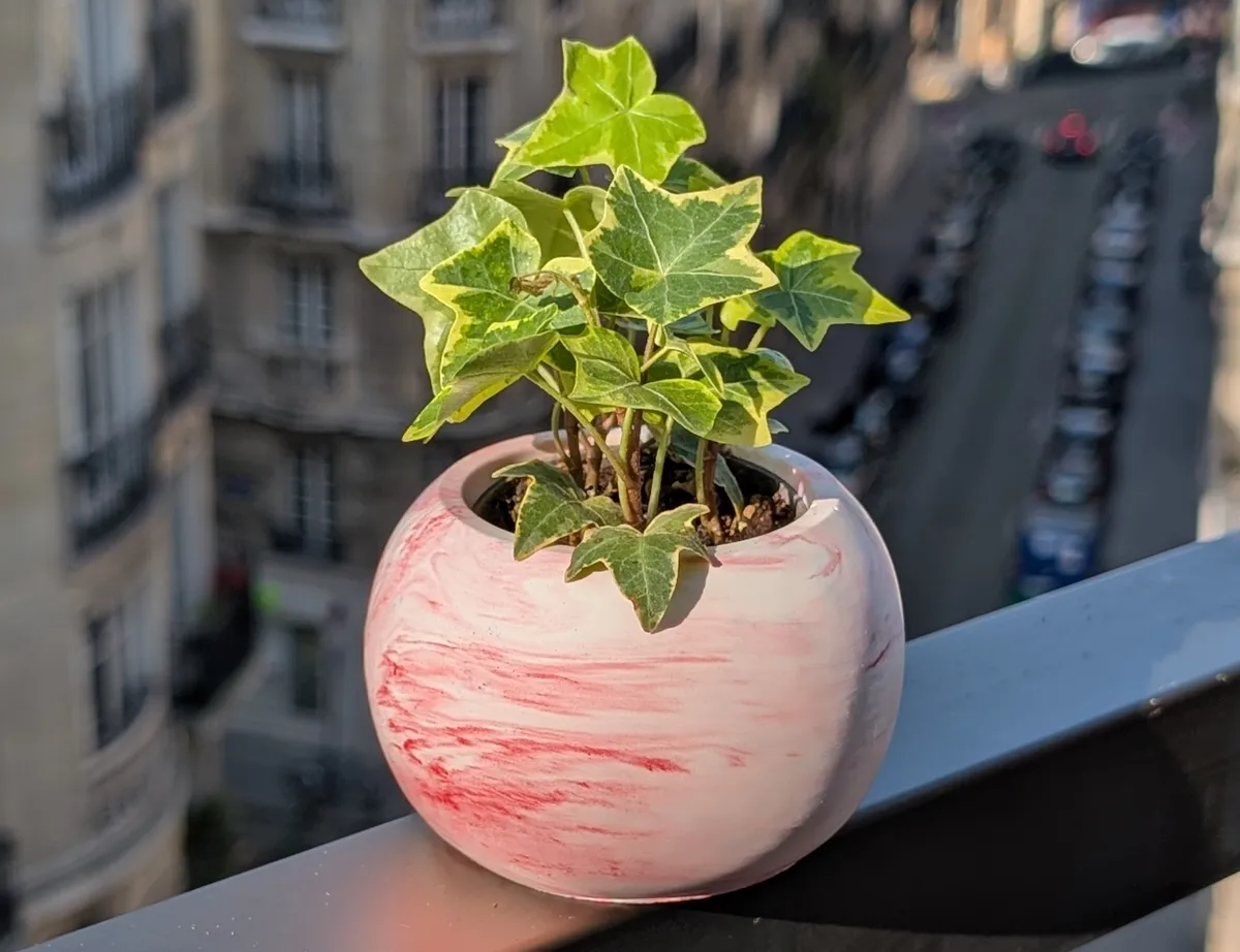 Réalisez pots en béton en groupe