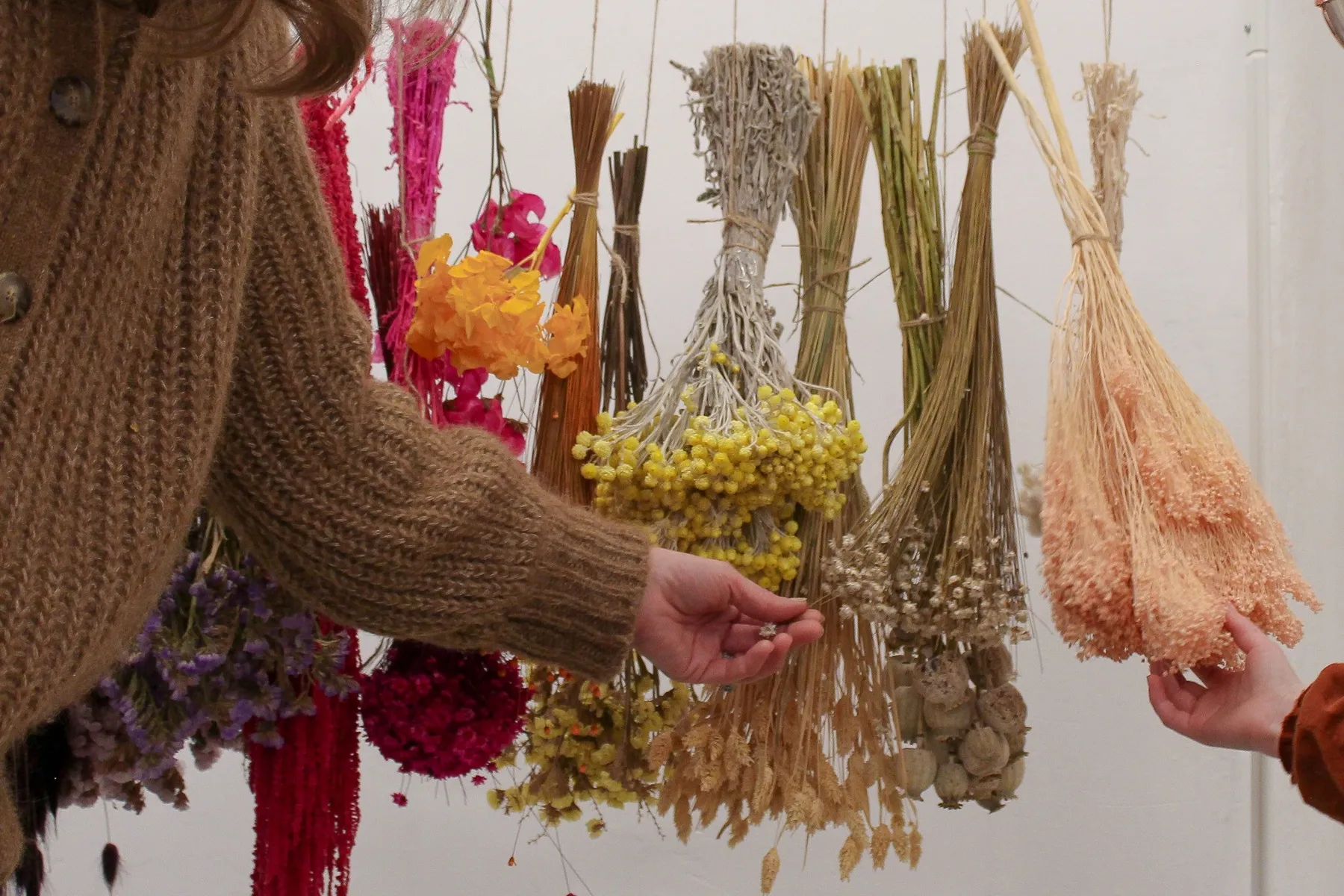 Réalisez vos couronnes de fleurs séchées en duo avec votre enfant accompagnés par Alice - Afbeelding nr. 4 - Wecandoo