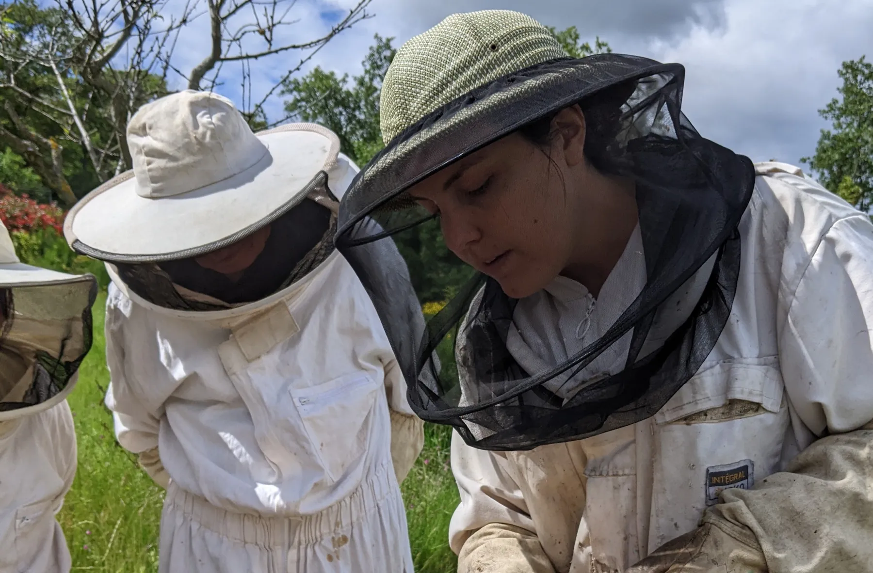 Réunissez votre équipe et découvrez l'apiculture et les plantes sauvages avec Jeanne et Camille - Image n°4 - Wecandoo