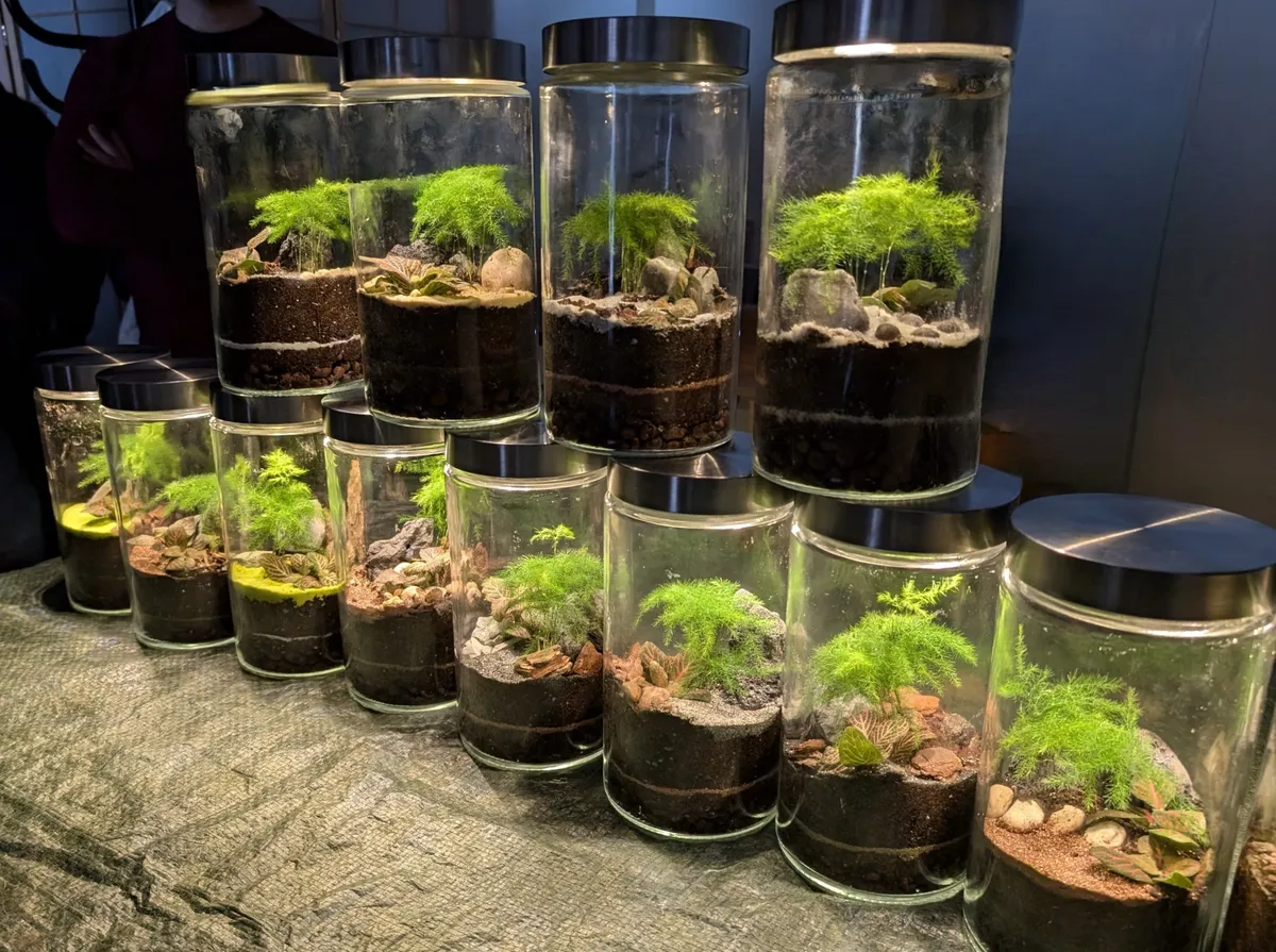 Réalisez vos petits terrariums lumineux en groupe