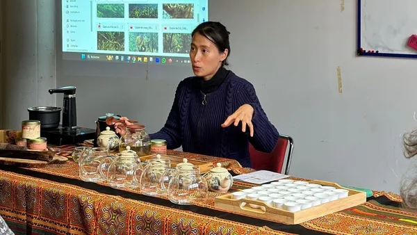 Découvrez l'art de l'infusion des thés avec Van - Image n°4 - Wecandoo