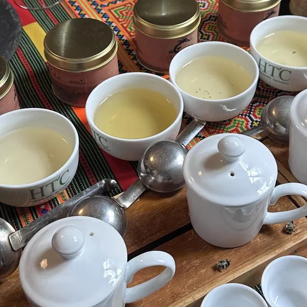 Découvrez l'art de l'infusion des thés avec Van - Image n°3 - Wecandoo