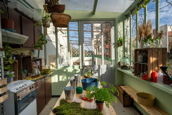 Apprenez à rempoter et entretenir vos plantes d'intérieur avec Pauline - Image n°4 - Wecandoo