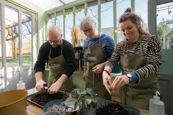 Apprenez à rempoter et entretenir vos plantes d'intérieur avec Pauline - Image n°3 - Wecandoo