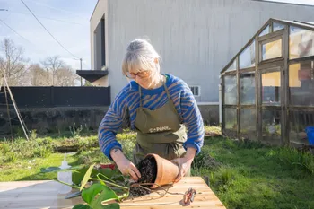 Apprenez à rempoter et entretenir vos plantes