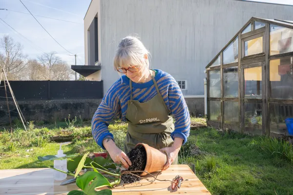 Wecandoo - Apprenez à rempoter et entretenir vos plantes