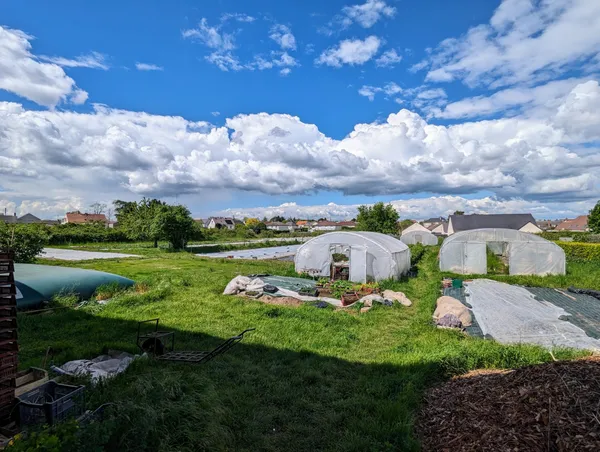 Réalisez votre bijou à partir d'une graine avec Laura - Image n°4 - Wecandoo