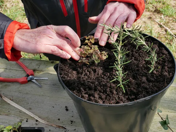 Réalisez vos semis avec Laura - Image n°5 - Wecandoo