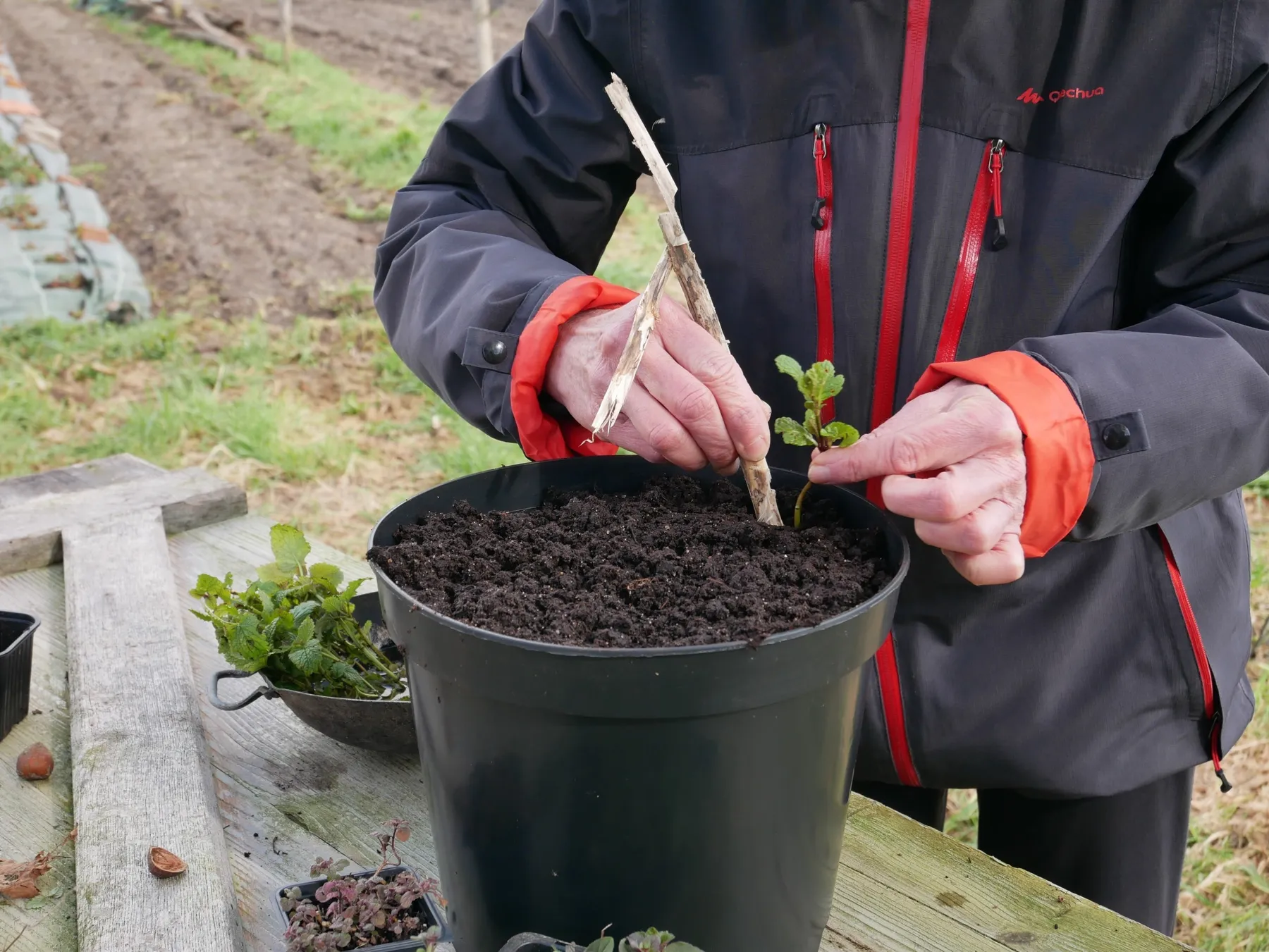 Réalisez vos semis avec Laura - Image n°4 - Wecandoo