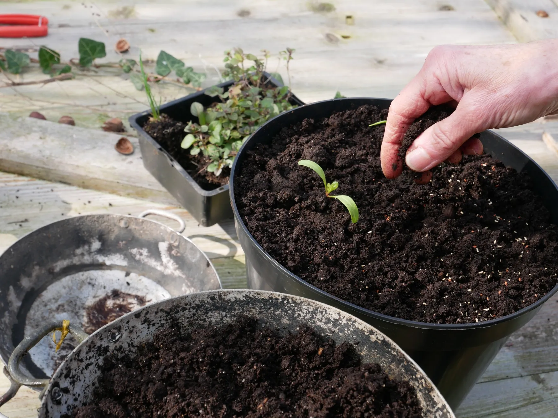 Réalisez vos semis avec Laura - Image n°2 - Wecandoo