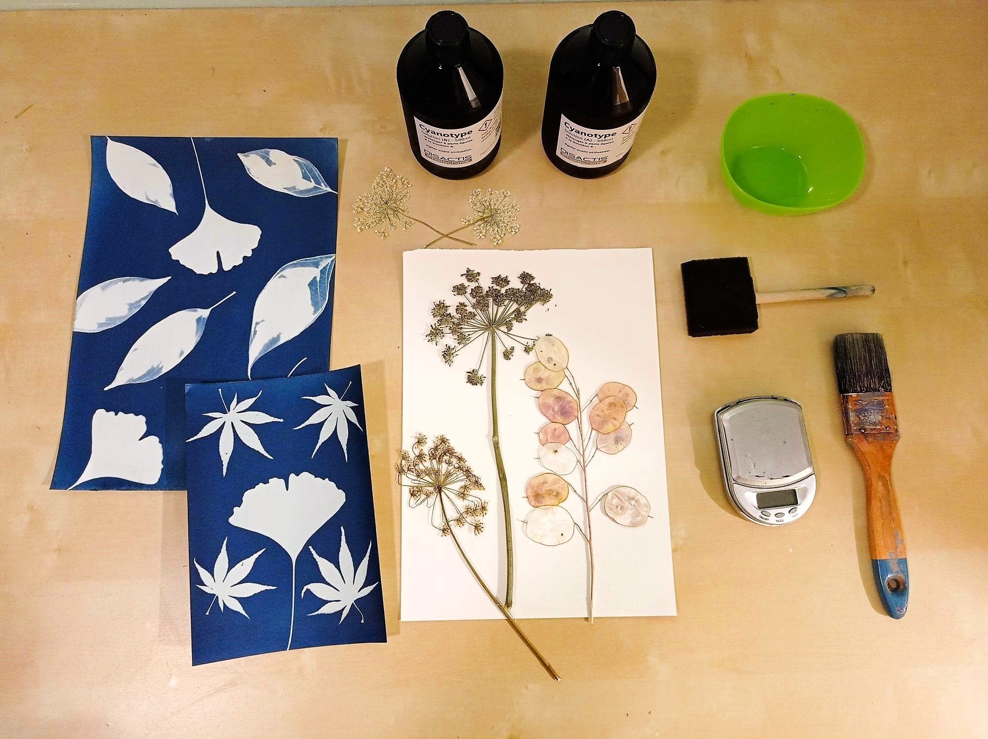 Découvrez le cyanotype