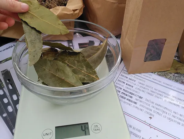 Créez votre propre tisane avec Elise - Image n°4 - Wecandoo