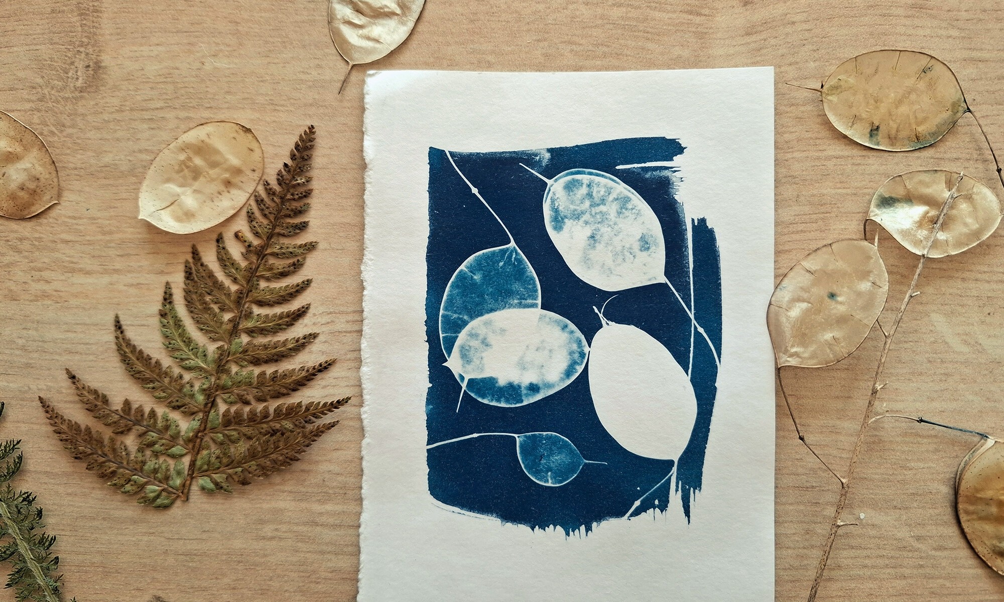 Wecandoo - Créez votre herbier en cyanotype avec Sylvie - Afbeelding nr. 5